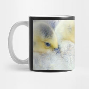 Sleepy time Mug